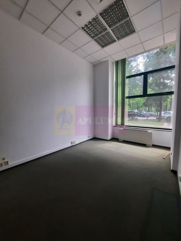 Inchiriere spatiu comercial bd Unirii, vitrina 25ml, stradal