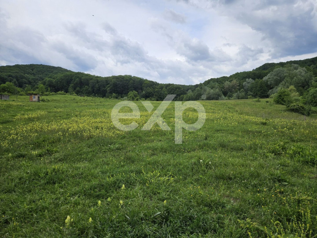 Teren 11,935mp Margineni / Strada Dubas