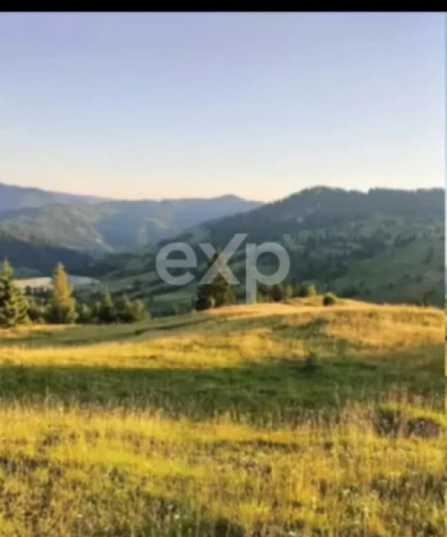 Teren Budeasa cu iesire la lac