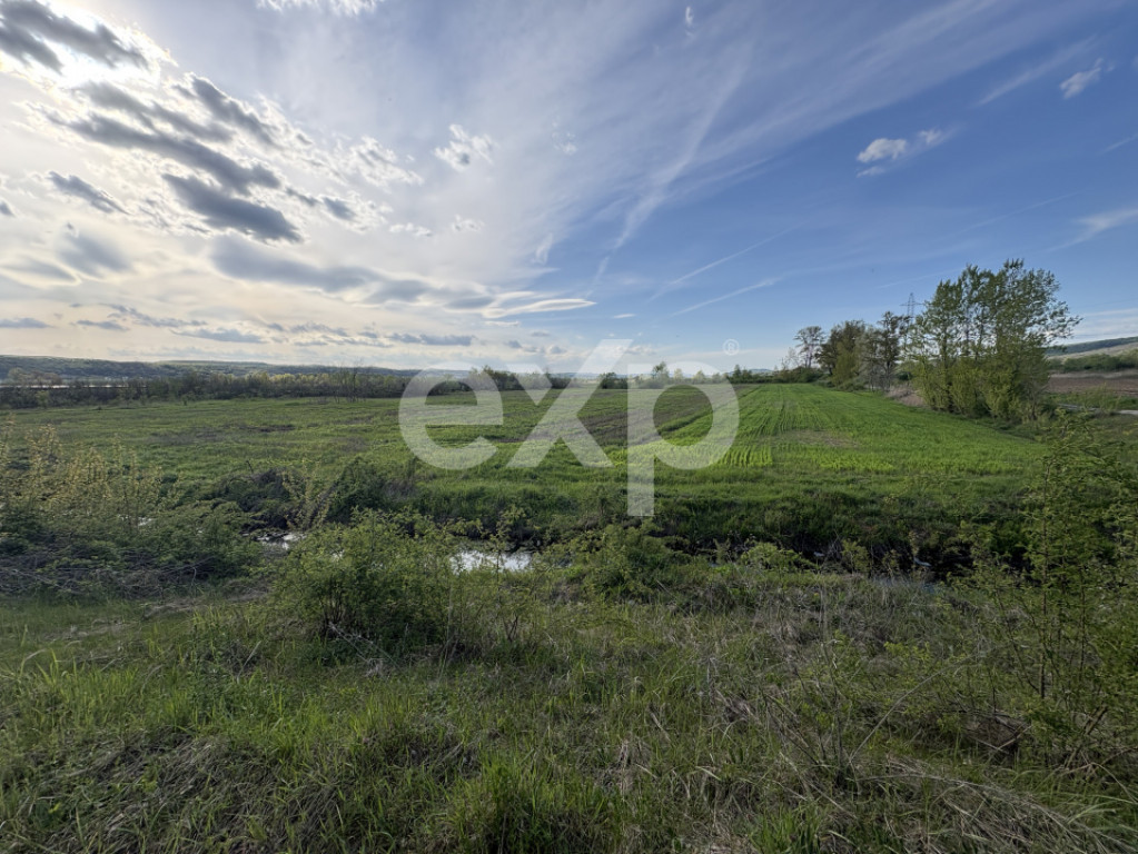 Teren Budeasa cu iesire la lac