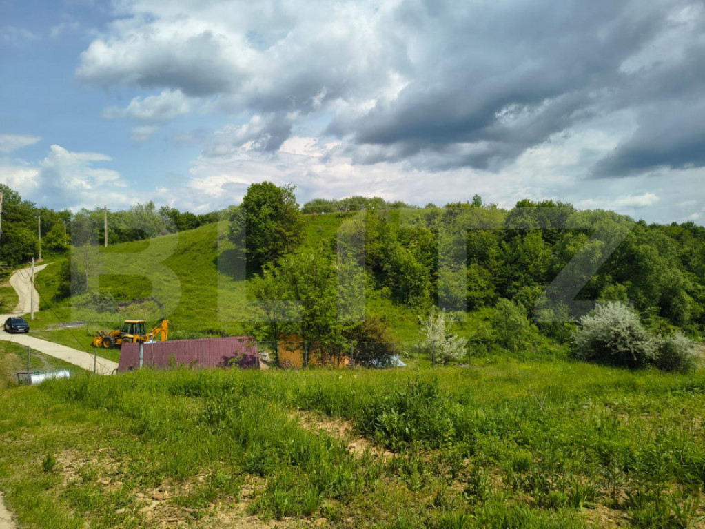 TEREN ideal CASA VACANTA,CASA LOCUIT ,ZONA SUBCARPATICA Vale
