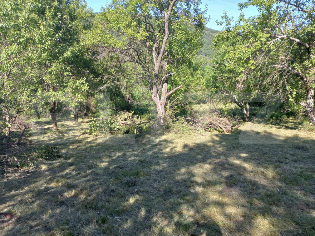 Teren intravilan 4.175 mp în Inuri – ideal cabană/casă