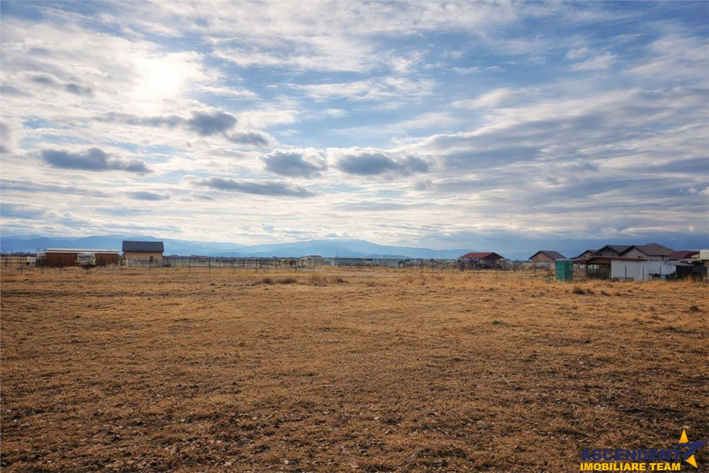 Teren de in Harman, Brasov, 2 parcele disponibile