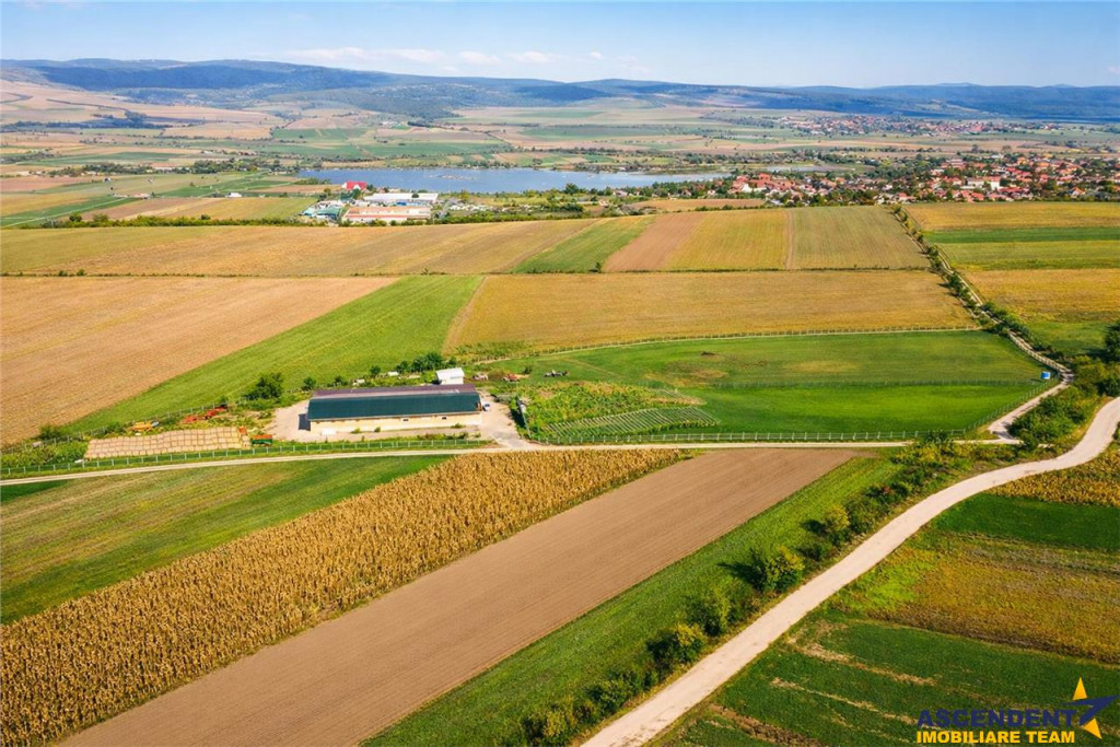 FILM! 18.000 mp, extravilan, agricol constructii:ferma,inve