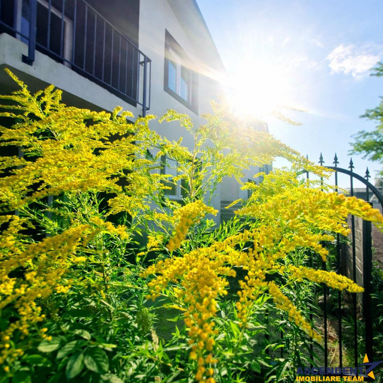 Proprietate gata de mutat, P E; curte proprie, Tarlungeni, I