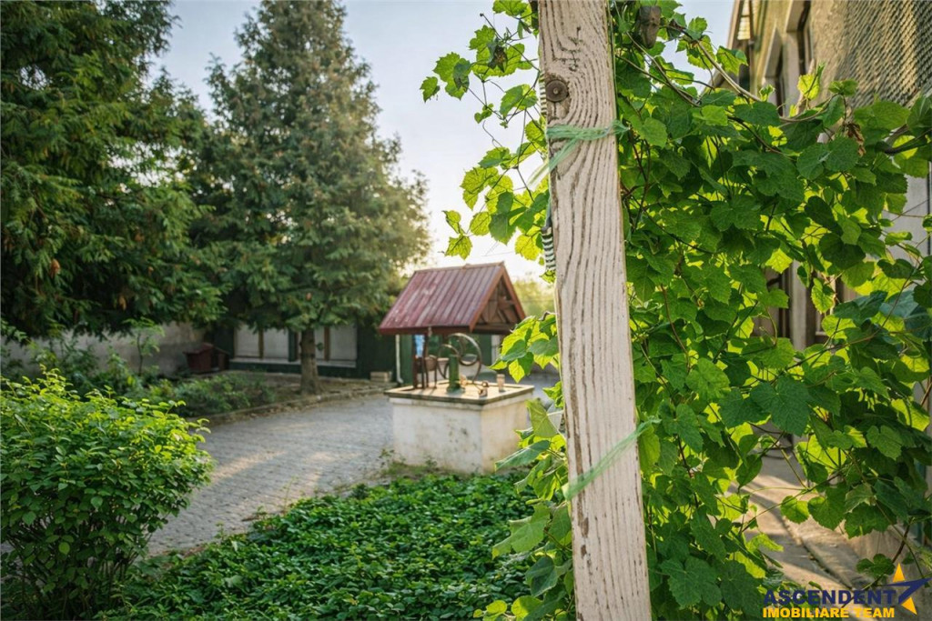Casa saseasca autentica,1.100 mp teren, pomi fructiferi si p