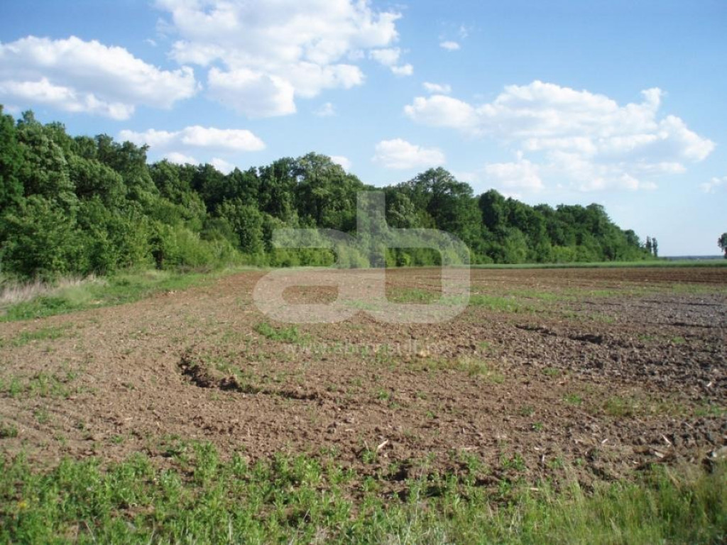 OCAZIE!!! Teren lipit de pădurea SNAGOV cu acces foarte facil la DN1