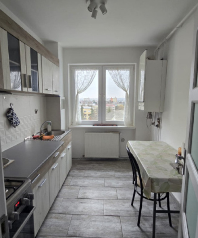 Apartament modern 2 camere, zona Victor Babeș, complet reno