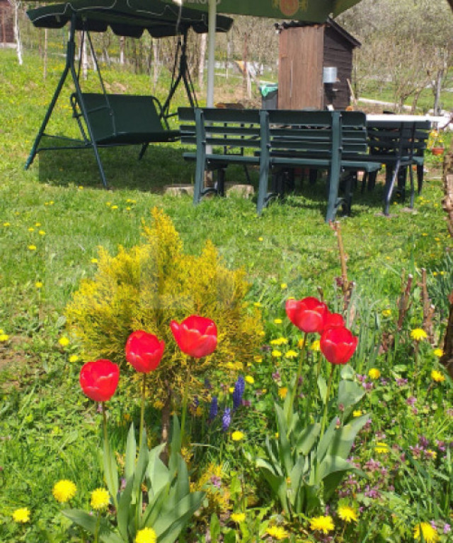 Cabana in zona Gherla, teren 1617 mp, zona linistita – rel