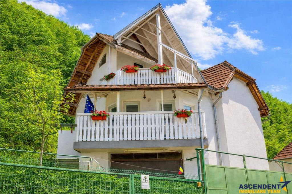 3D! Casa autentica,5.025 mp teren,in spectacolul montan al C