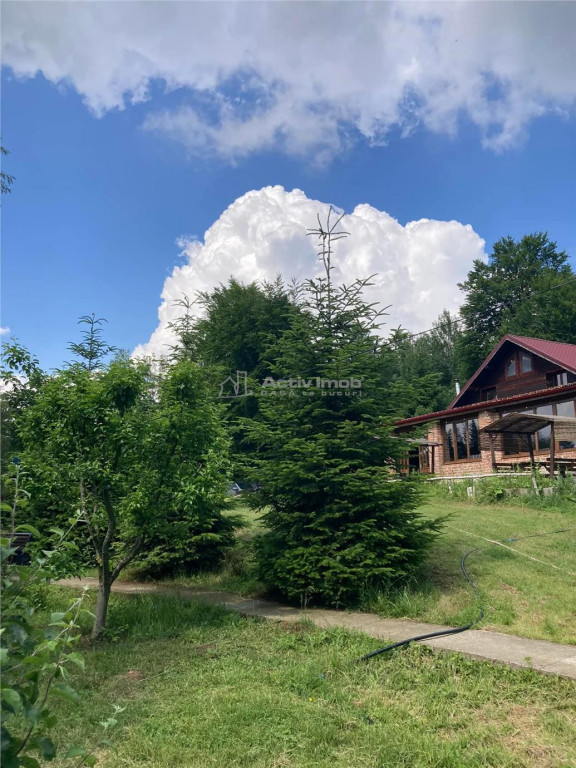 Pensiune - Restaurant - Cabanute - Lac pescuit