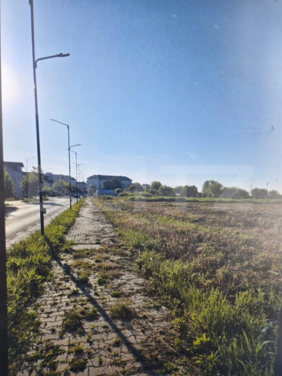 Teren intravilan 2.500 mp, ultracentral Titu, ideal investi?