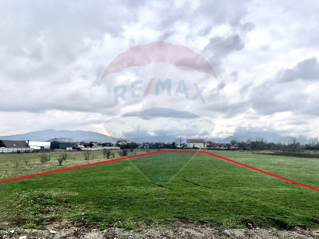 COMISION 0% | Teren intravilan | 3545 MP | Oportunitate d...