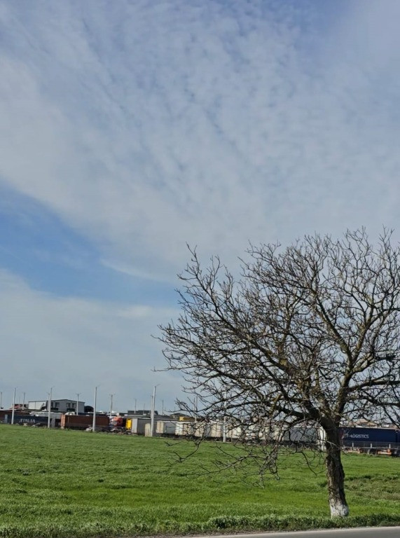 Teren de vanzare Agigea zona Registrul Auto