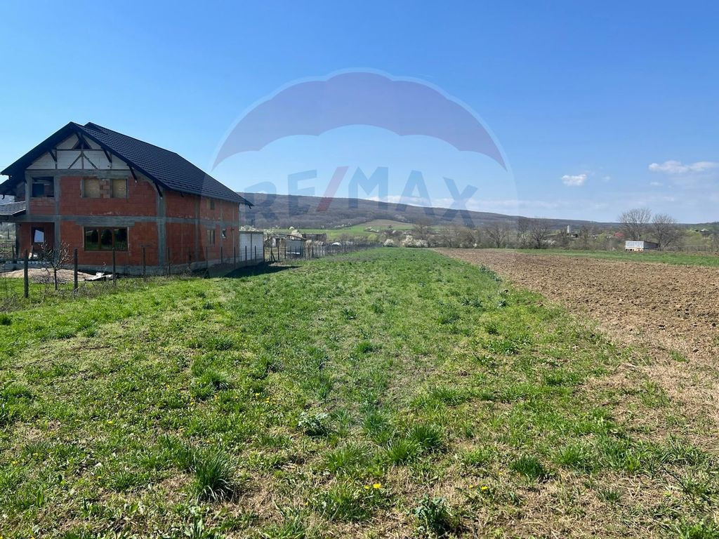 Teren 4,486mp Iordacheanu / Strada Principala