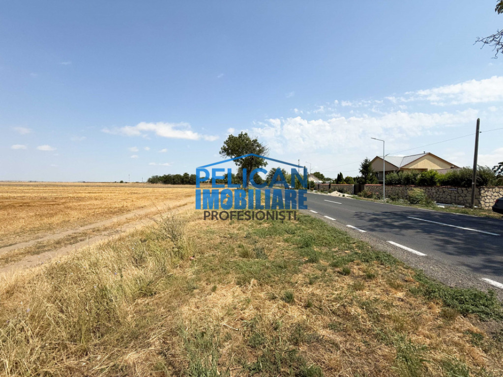 Teren intravilan M. Kogalniceanu, 4000MP, la drumul national