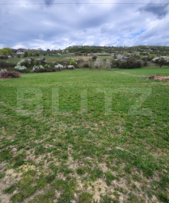 Teren extravilan, langa Pensiunea Jacky, Unirea, 1 h!