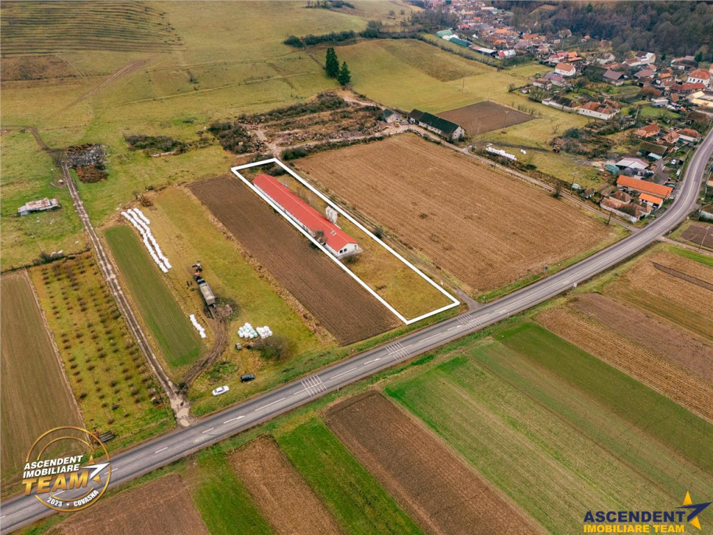 FILM! Ferma de iepuri,Malnas,Covasna: domeniu:industrial com