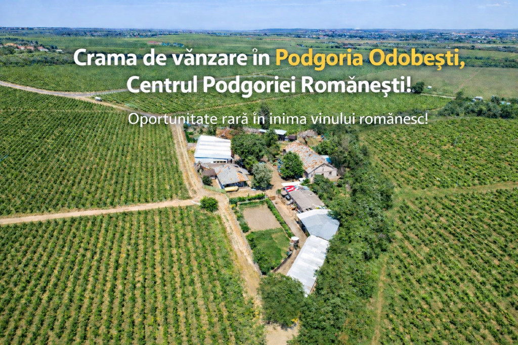 Cramă complet funcțională in inima Podgoriei Odobești