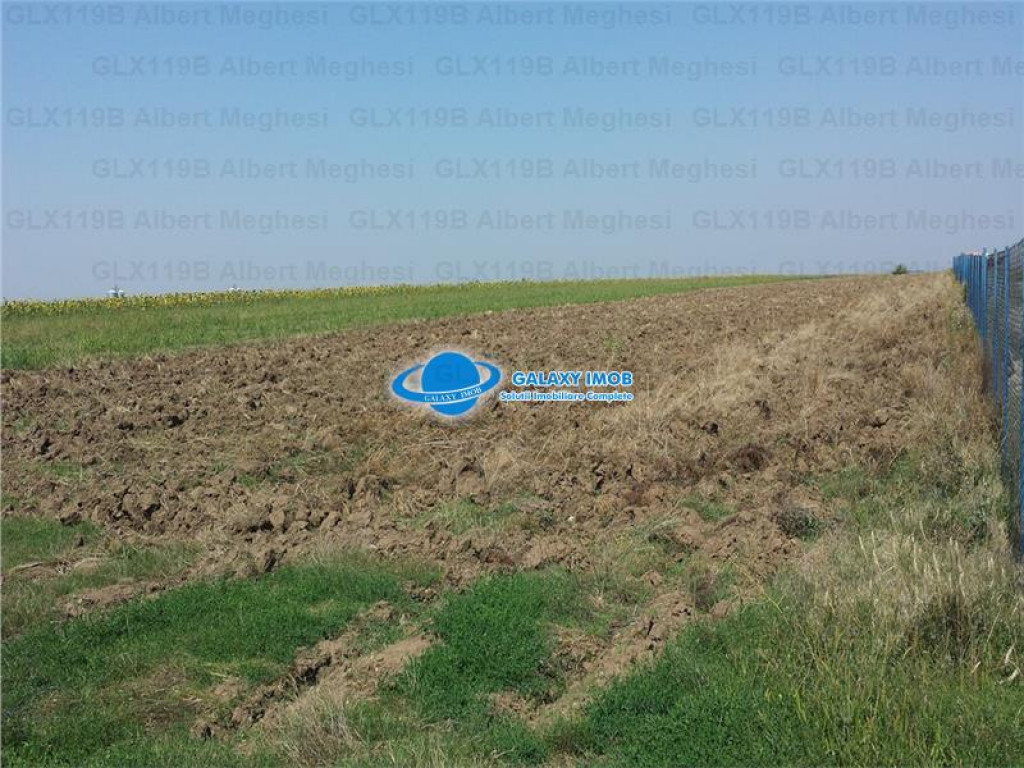 Teren Intravilan Herasti Giurgiu 2 HA