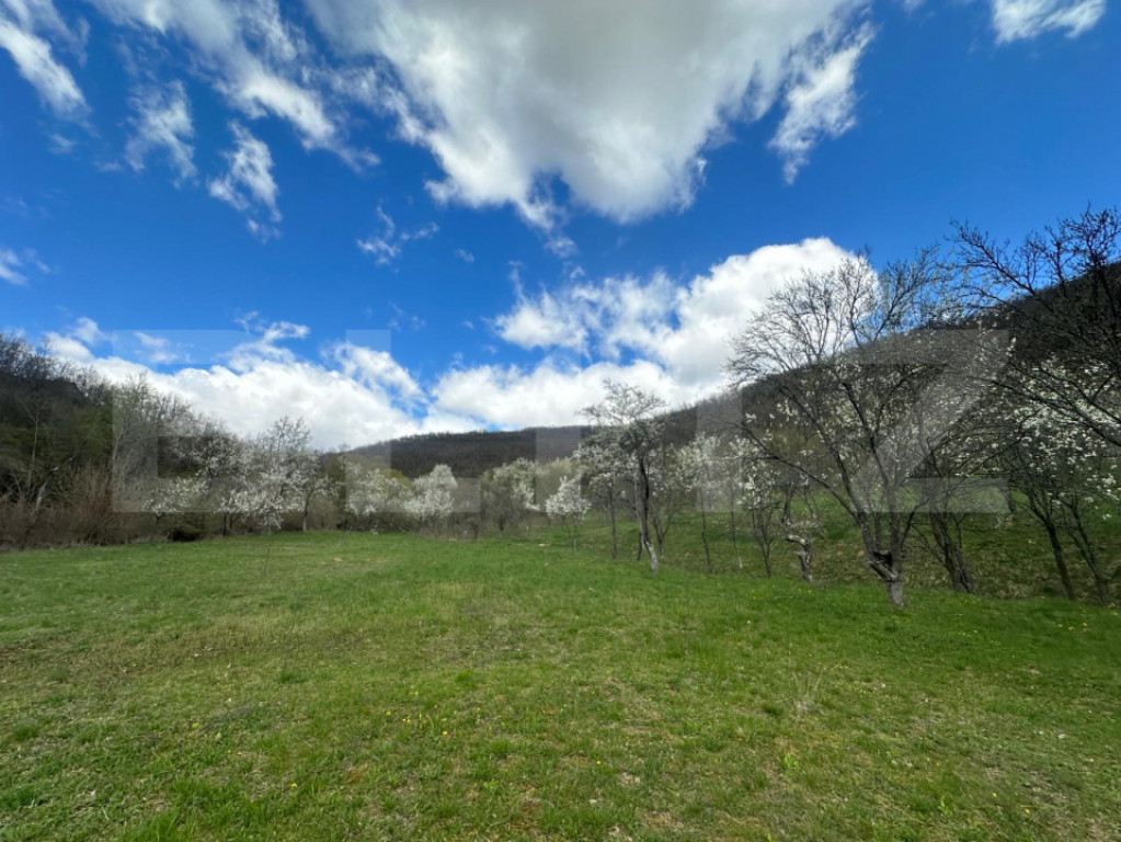 Teren 1 ha lângă casă, acces asfalt, zonă liniștită, B