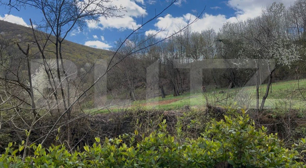 Teren 5.500 mp, liniște totală, acces asfalt, priveliște