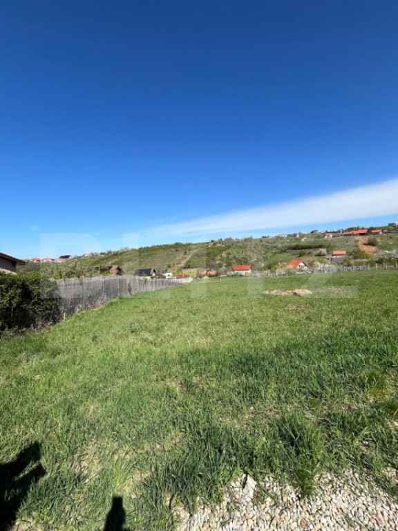 Teren intravilan de vanz, parcelabil in Oradea, utilitati la