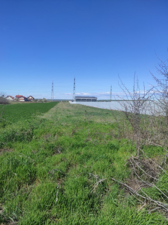 Teren extravilan 5000 mp, Albesti