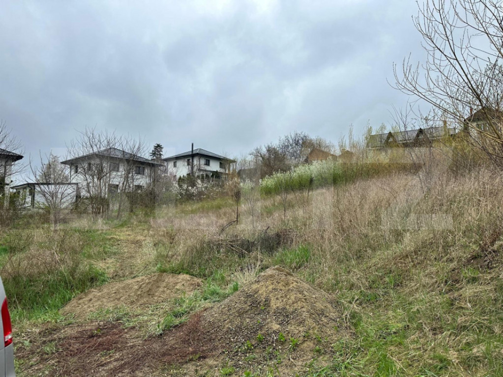 Teren intravilan 1864 mp – Bucium Iași | Deschidere excel