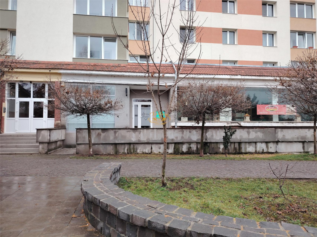 Spatiu comercial (Gheorgheni, Cart. Bucin bl. 18/F)