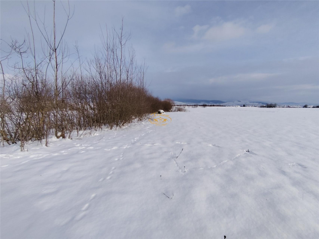 Teren intravilan in Sineu, com. Remetea