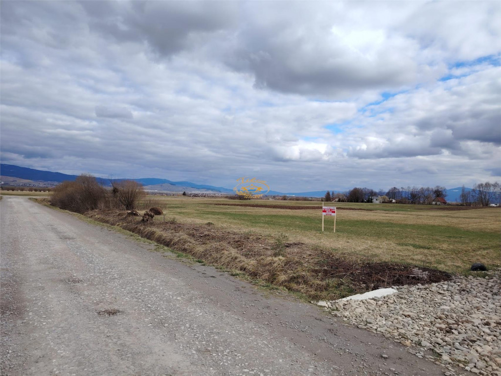 Teren intravilan in Sineu, com. Remetea