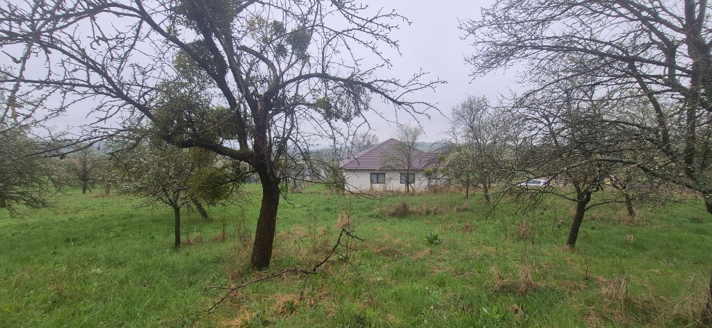 Grosi, zona Primariei, 10 ari teren