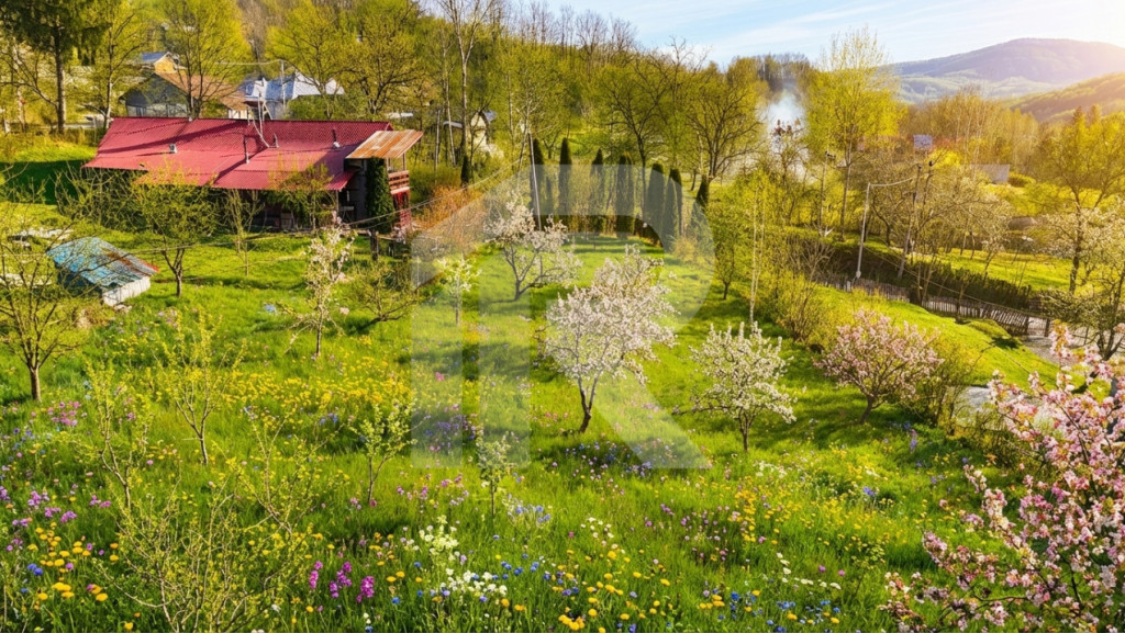 Teren intravilan Slanic Prahova