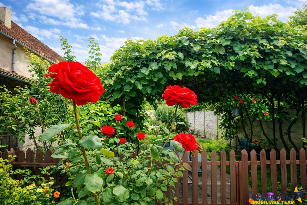Casa cu vatra traditionala, gradina, garaj, facilitati, Codl