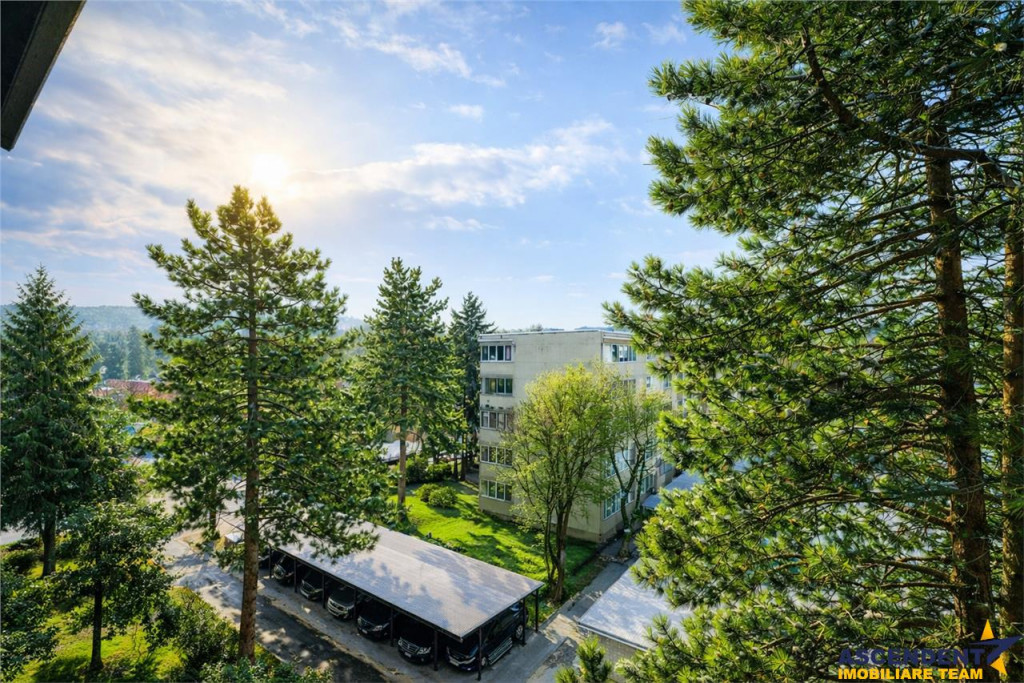 Apartament cu potential,areal verde, panorama,terasa,zona A,