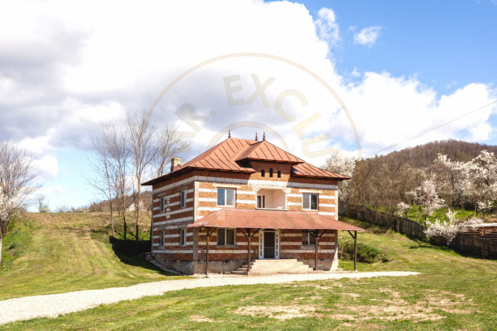 Casă P+1 langa padure cu teren 4.752 mp Cosesti Arges