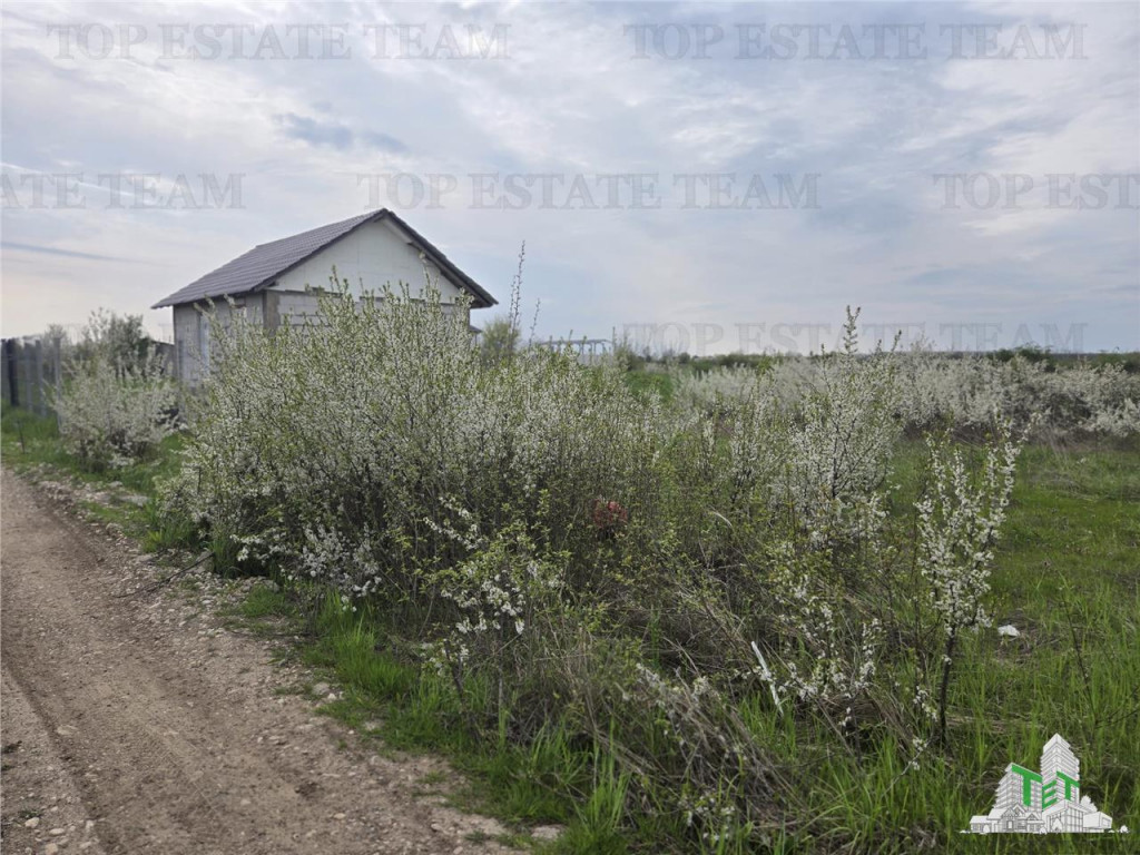 TEREN INTRAVILAN 420 mp la 20 minute de Bucuresti