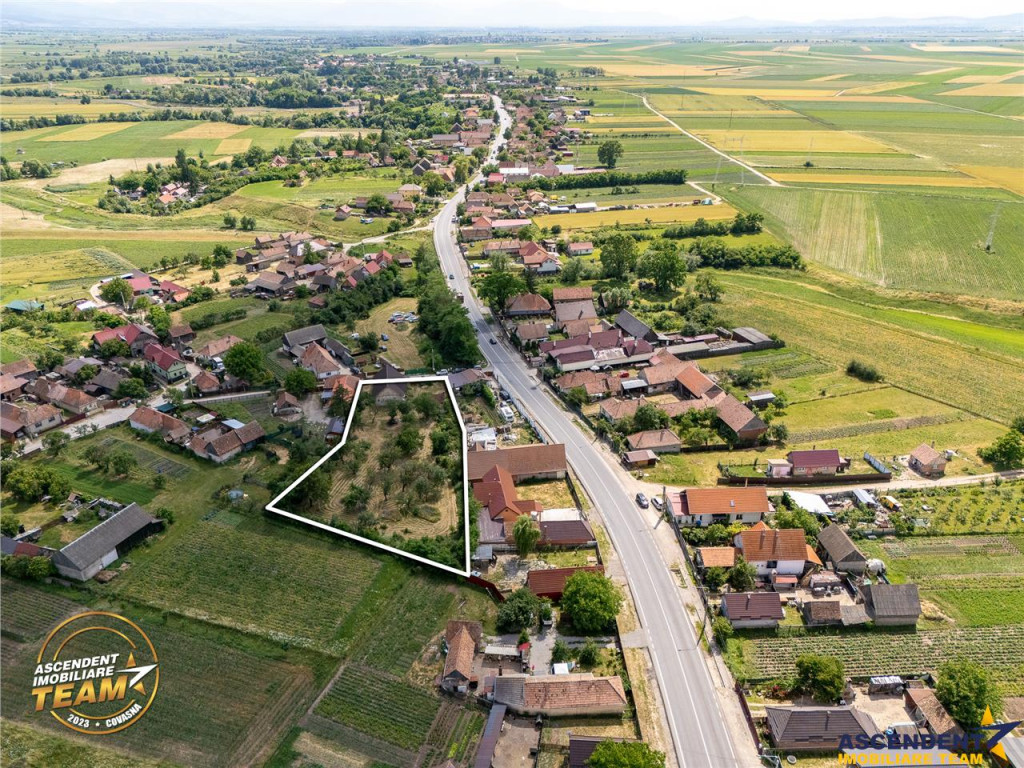 FILM! 2.700mp teren cu casa personalizabila, pomi fructiferi