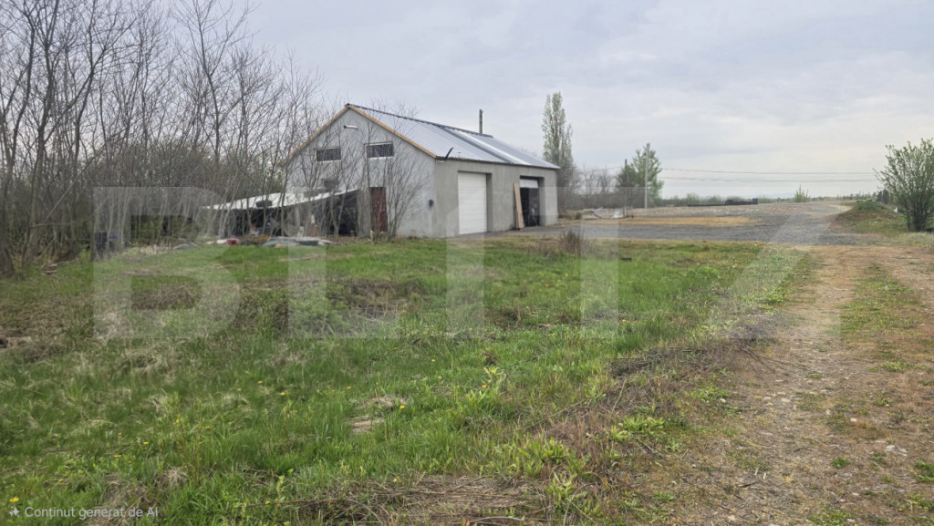 Spatiu industrial Hala 106 mp, 5700 mp Teren- Livada