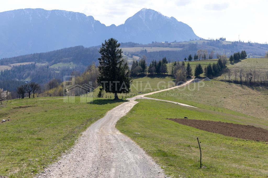 Teren pentru casute de vacanta - Poiana Marului - vedere la