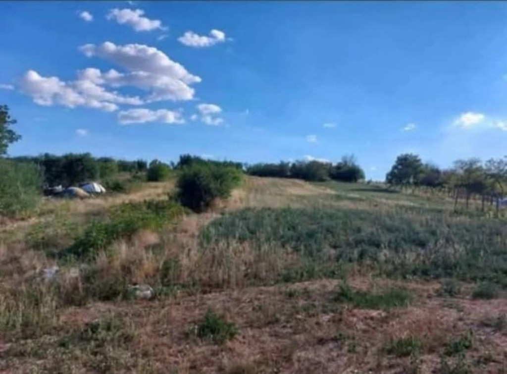 Teren intravilan 2174 mp, front stradal 14 ml, Pielesti