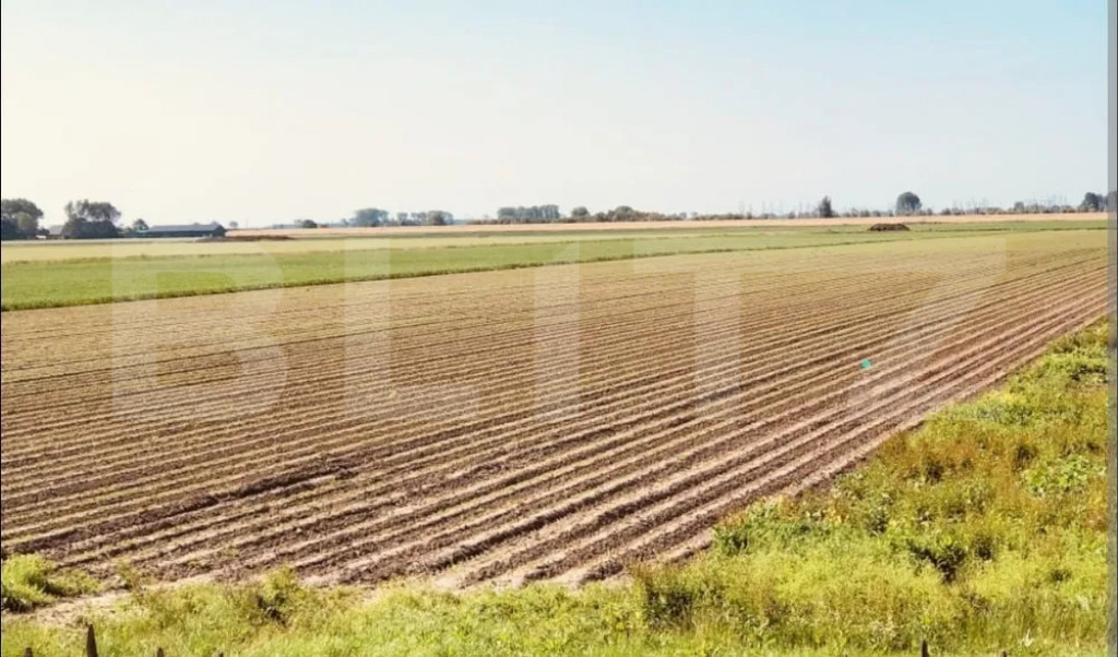 Teren arabil de vanzare, 30.000 mp - Bethausen