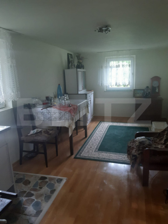 Casa de vanzare, Poiana Blenchii