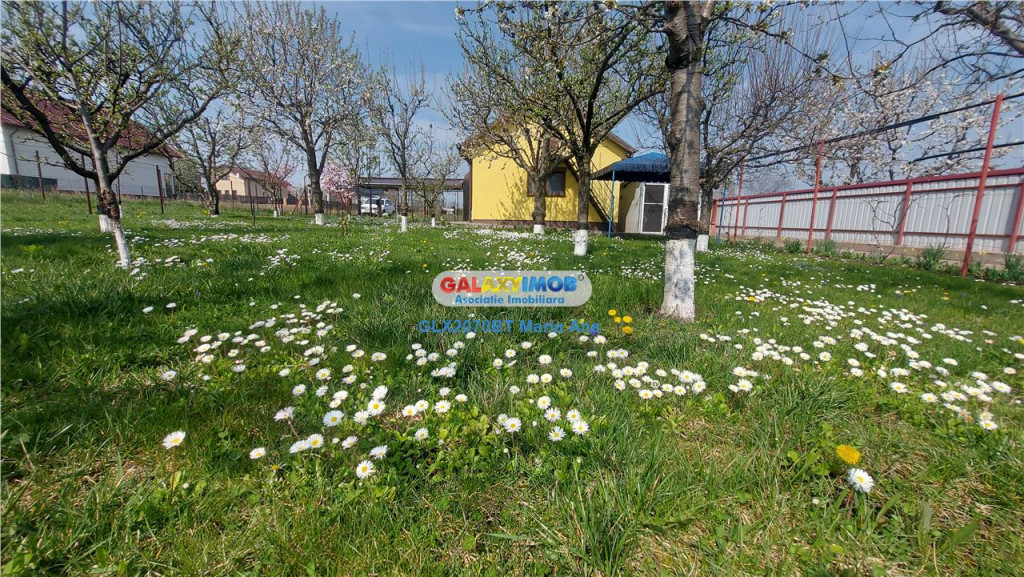 Casa cu teren 800 mp., la pret de apartament, Catamarasti De