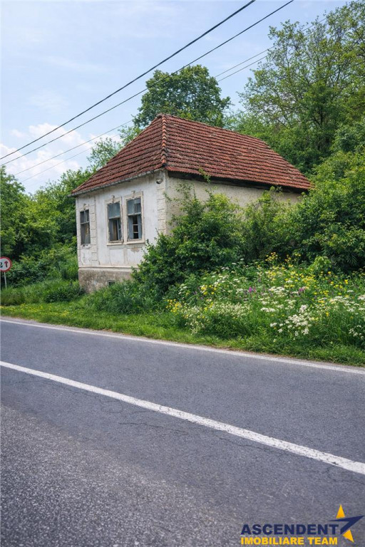 Domeniu verde autentic, 5.000mp, front la DJ, Valcele, Bra