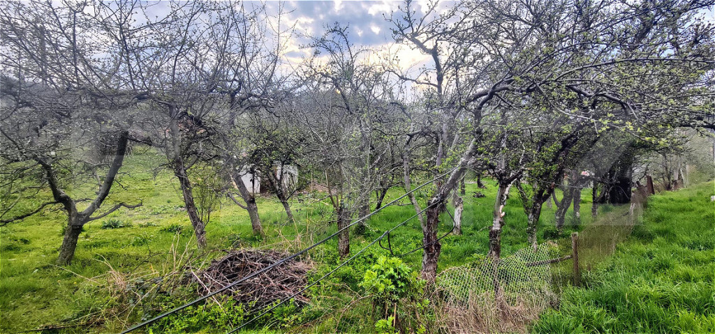 ???? Teren Construibil 2900 mp cu 2 deschideri la asfalt –