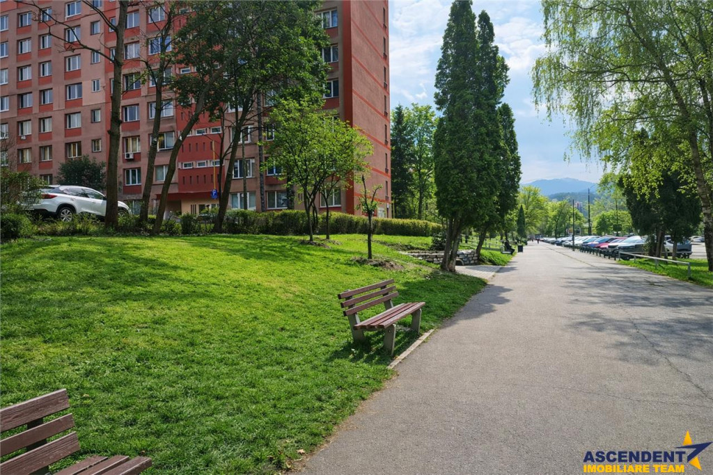 Garsoniera Renovata, Piata Dacia, Bulevardul Victoriei, Bras