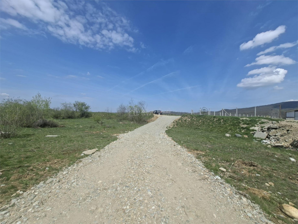 Teren extravilan de Talmaciu