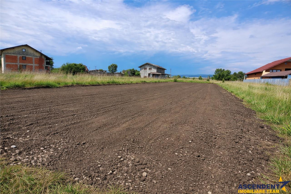 Teren intravilan: 480mp, acces facil, arie case, Bod, Braso